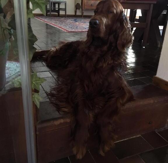 住宿加早餐  Mirabilia