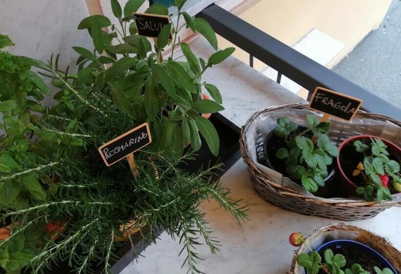 Пансион Casello68