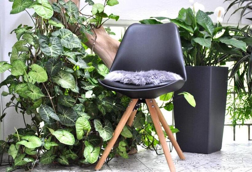 بنسيون Kornbranntgut Hieflau