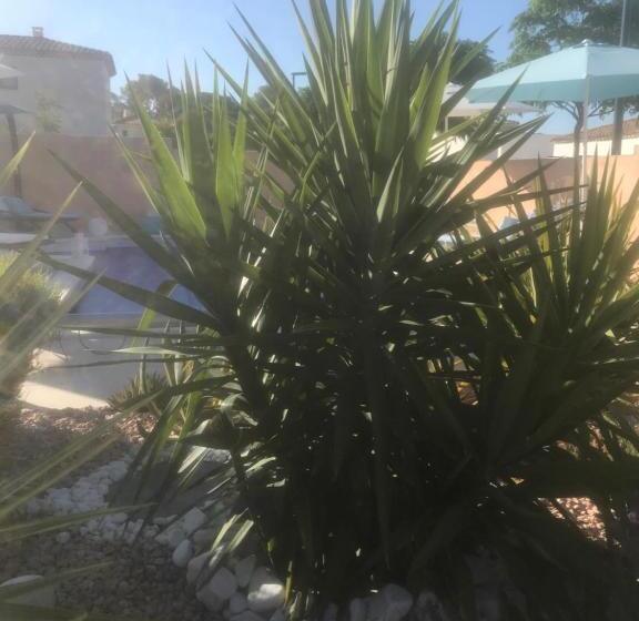 ベッドアンドブレックファースト Chambre D Hôtes Dans Villa Diane