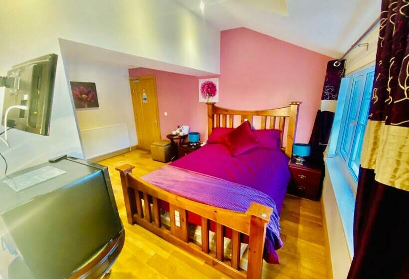 住宿加早餐  Dreamhaven