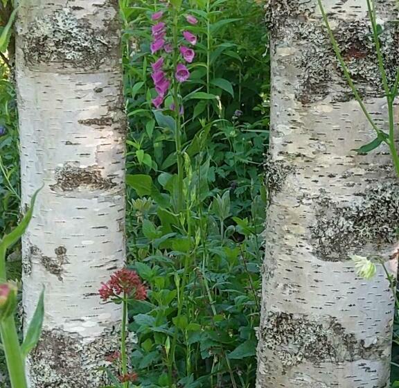 민박 La Combe Fleurie