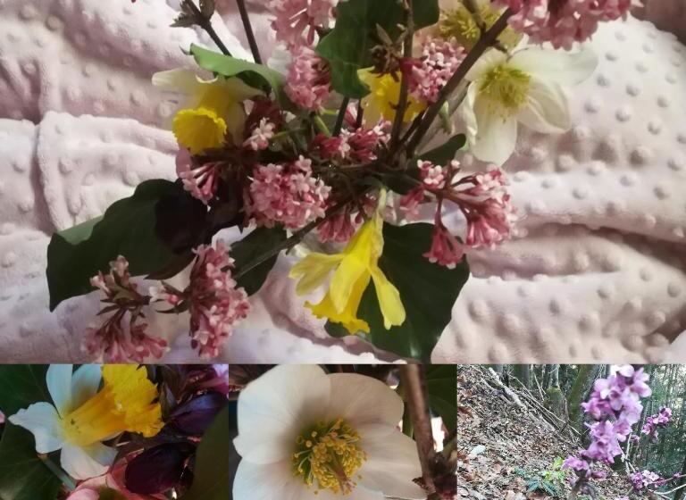 住宿加早餐  La Combe Fleurie