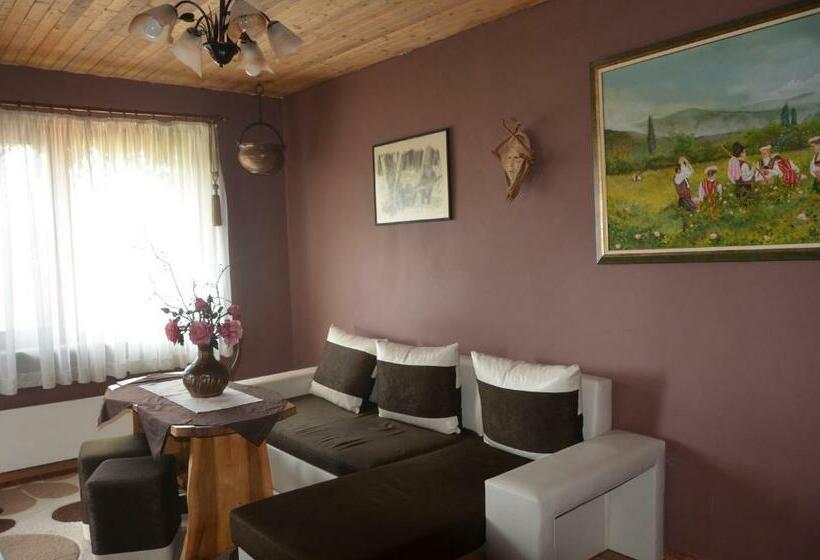 پانسیون Guest House Amazonia