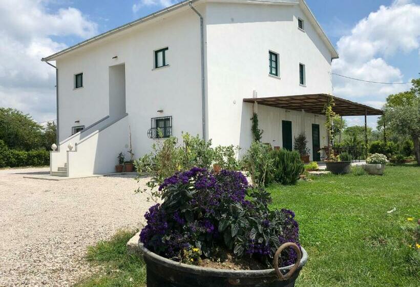 Отель Casa Agricola Scorziello