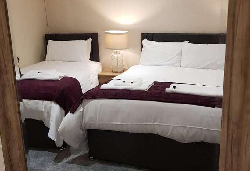 تختخواب و صبحانه The Dog Inn