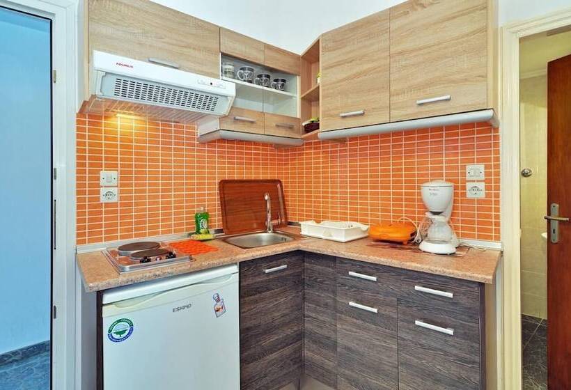 هتل Mimoza Rooms