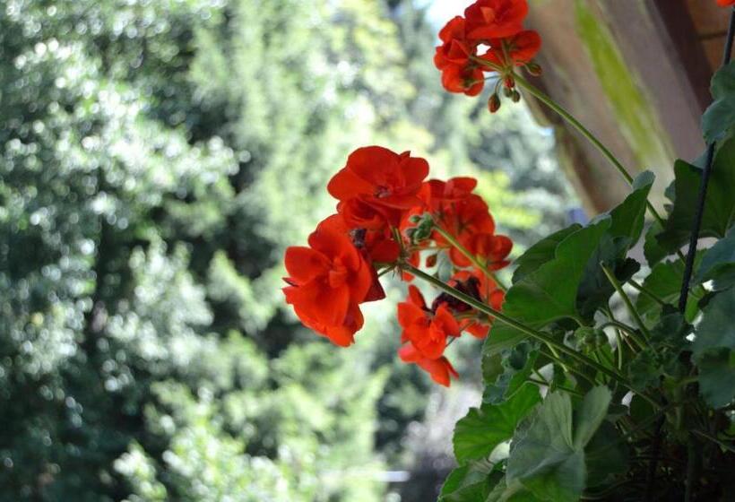 膳宿费 Chambres D Hôtes Des Cascades St Nicolas