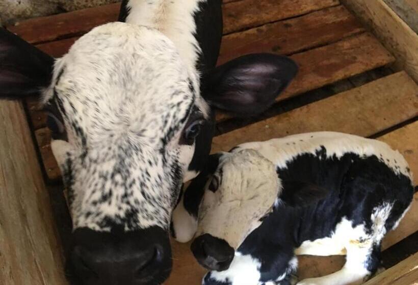 膳宿费 Chambres D Hôtes Des Cascades St Nicolas