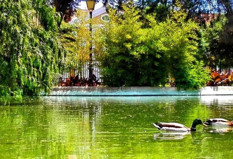 پانسیون Império Romano Guest House