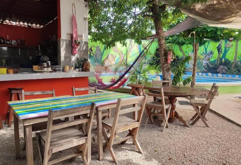 Zayali Bacalar   Guest House