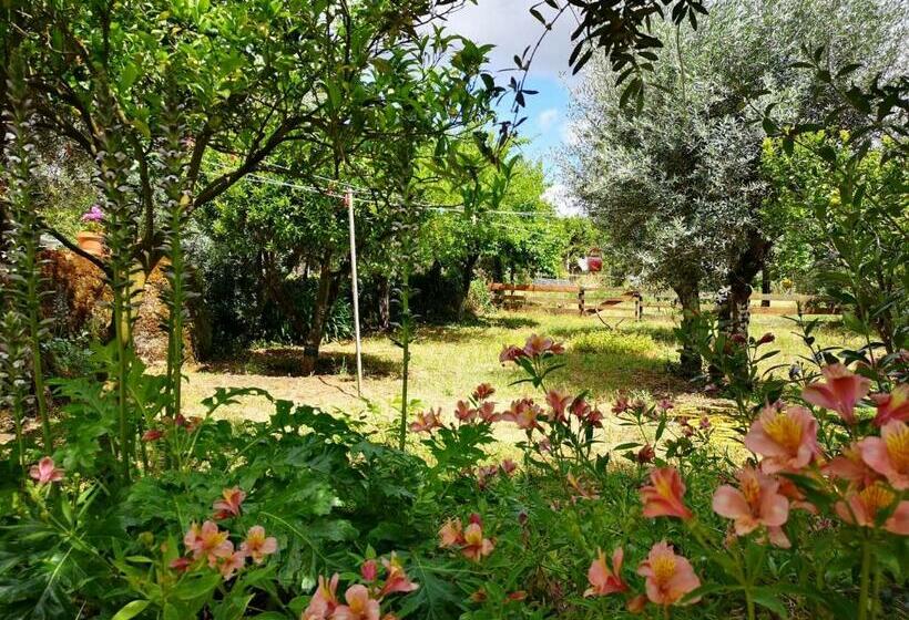 צימר Quinta Dos Church