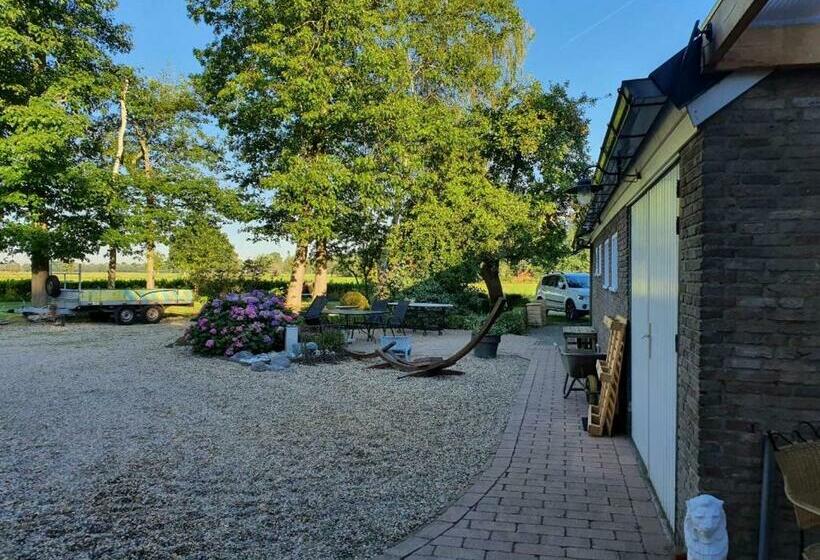 پانسیون Ustawi