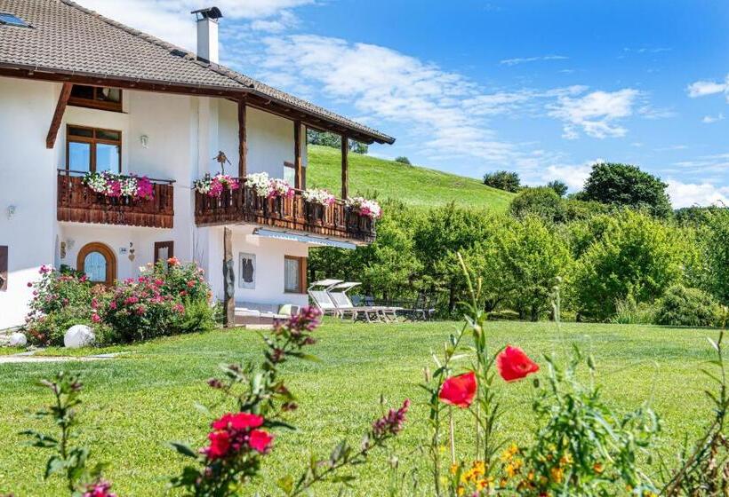 Bed and Breakfast Bonichhof