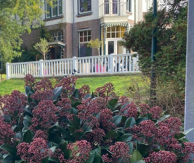 مبيت وإفطار Devilla