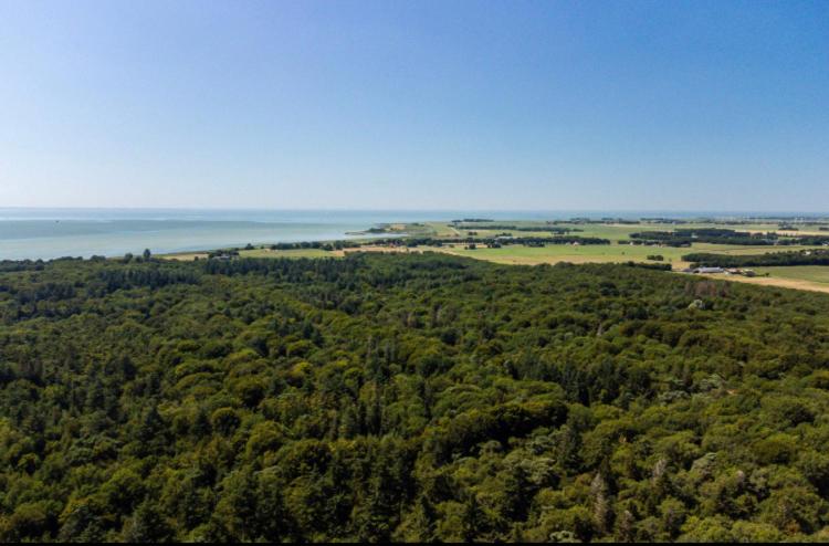 مبيت وإفطار Devilla