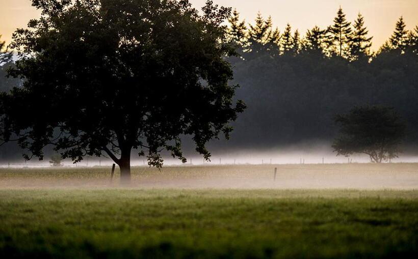 مبيت وإفطار Devilla