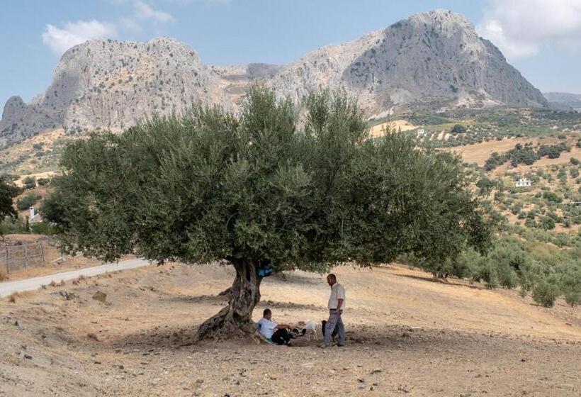 צימר Finca Gordo