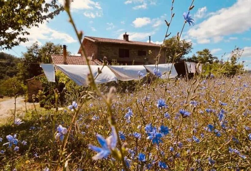 B&b Luna E Stelle