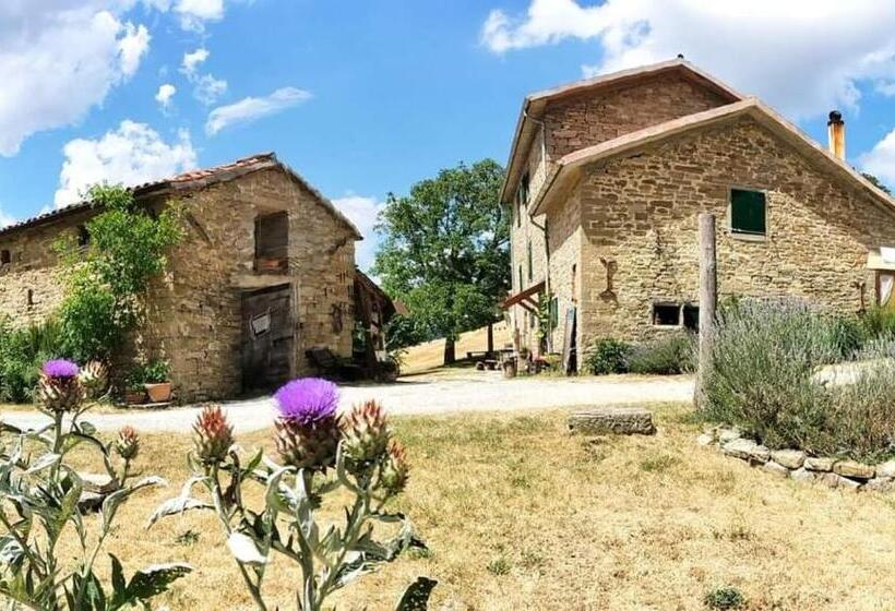 B&b Luna E Stelle