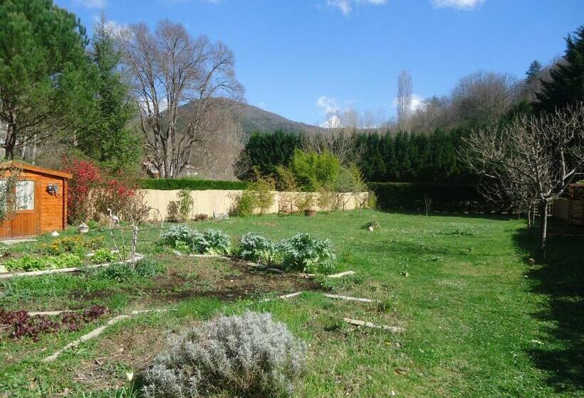 ベッドアンドブレックファースト Kioui