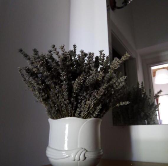 호텔 Agriturismo Terra Dei Falchi