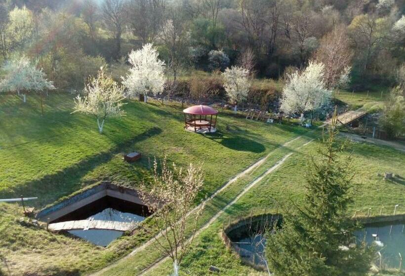 פנסיון Bungalows Zdravets