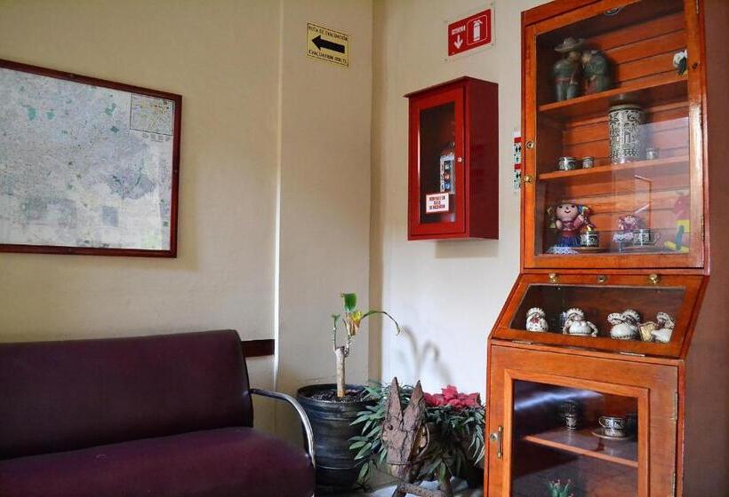 فندق صغير Janeiro