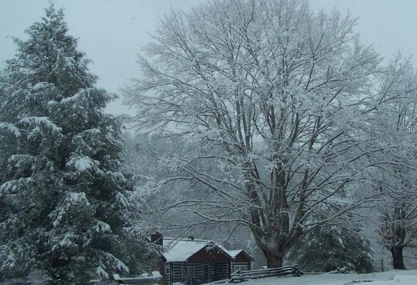 ホテル The Best! Gorgeous Cabin W Antiques For 2, Near Princeton  I 77