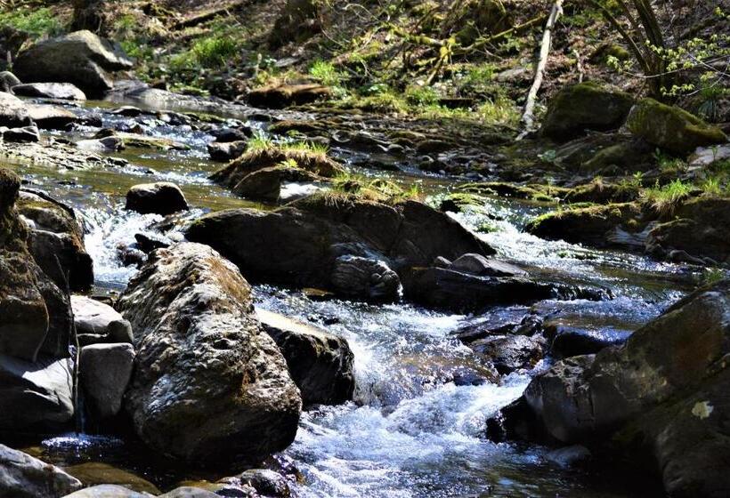 بنسيون Penthouse Lebierre