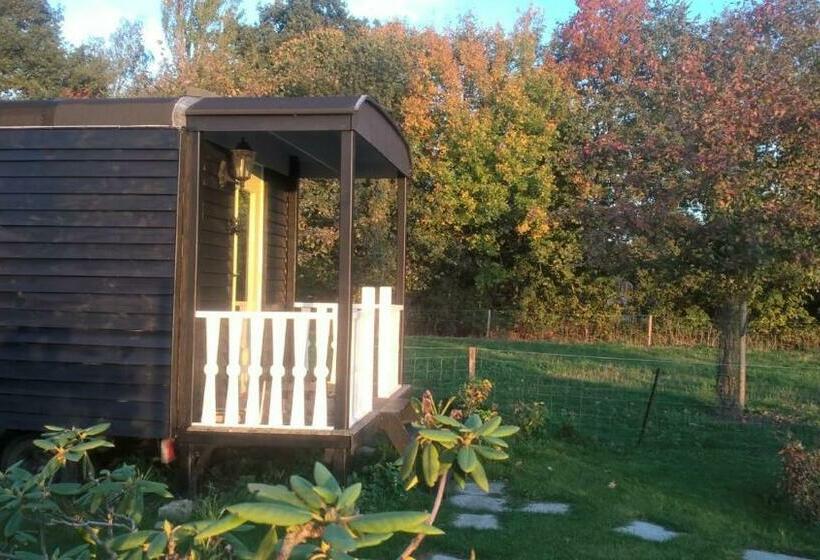 ベッドアンドブレックファースト Pipowagen Elsebein Groningen Westerwolde Unieke Ligging Met Eigen Tuin En Vrij Uitzicht Over Veld Na