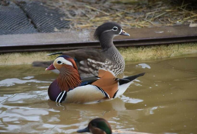 צימר La Bergerie Du Mesnil
