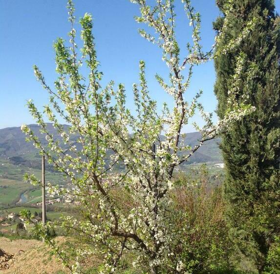 Hotel Agriturismo Prato Barone