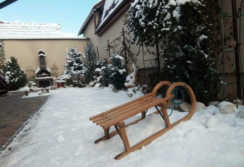 بنسيون Rasnov Retreat