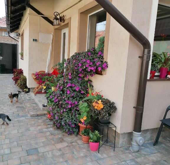 بنسيون Rasnov Retreat