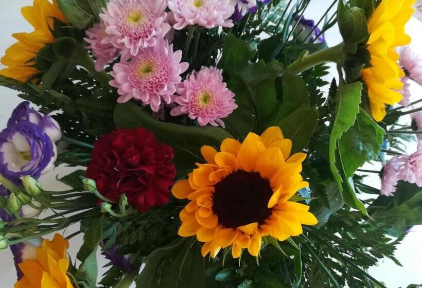 민박 Il Colibrì Bed&breakfast