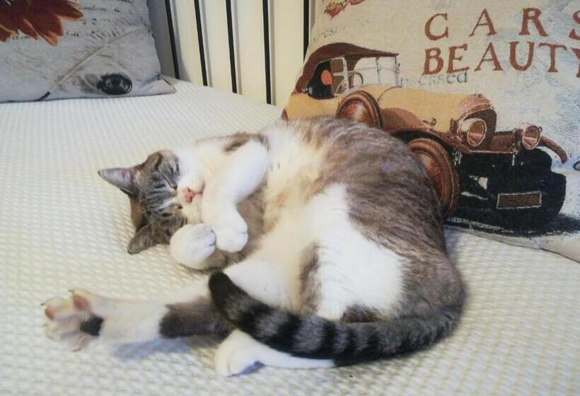 민박 Il Colibrì Bed&breakfast