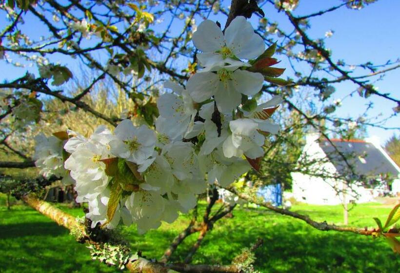 住宿加早餐  La Vallee