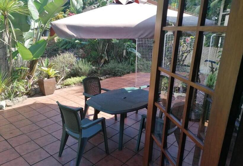 Bed and Breakfast Thrush Nest Durban