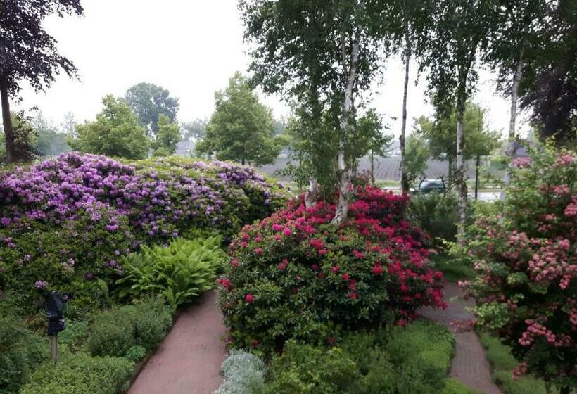 B&b De Zeven Berken