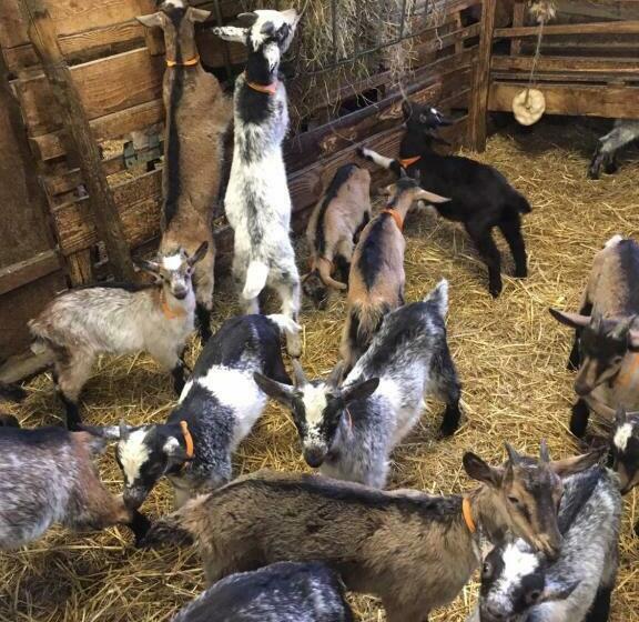 住宿加早餐  Gite Im Berg