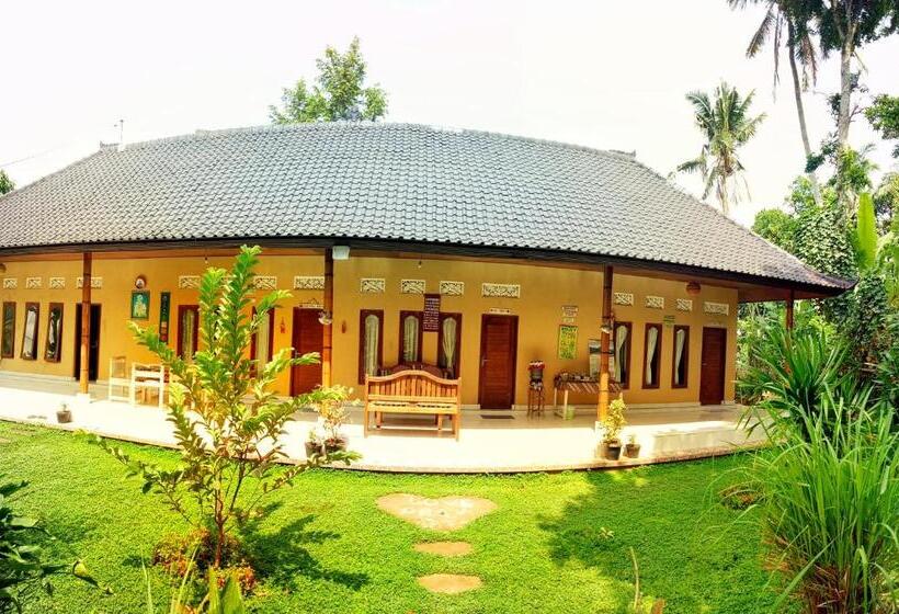 펜션 Bucu Hidden Guest House, And Meditation Center