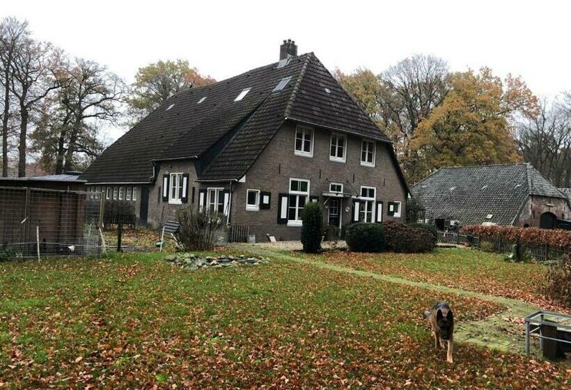 ベッドアンドブレックファースト Boerderij De Enkhoeve