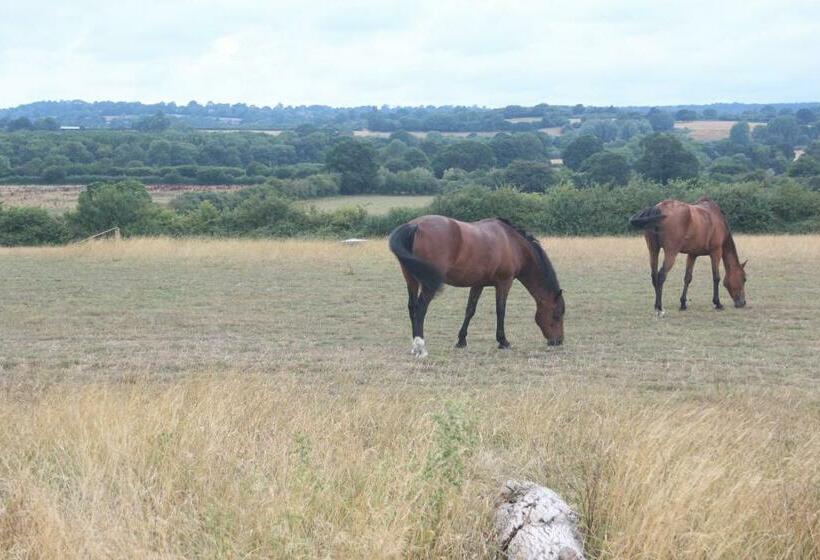 مبيت وإفطار Mapperton Hill Farm