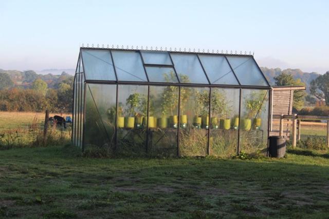 مبيت وإفطار Mapperton Hill Farm