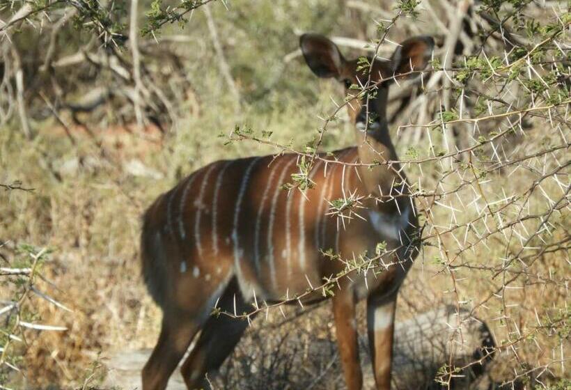 בית מלון כפרי Karri Grove Cottages