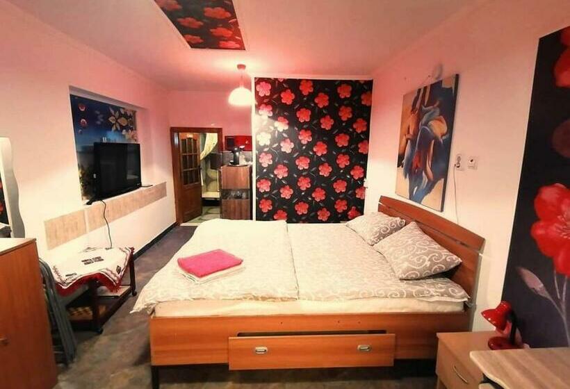 פנסיון Hostel Pascalis Alesd