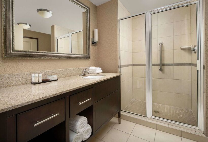 酒店 Embassy Suites By Hilton Birmingham Hoover