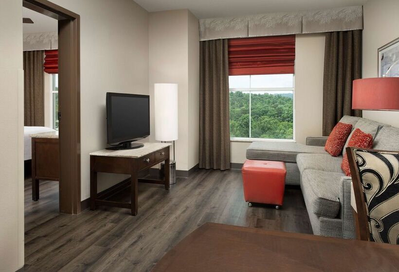 酒店 Embassy Suites By Hilton Birmingham Hoover