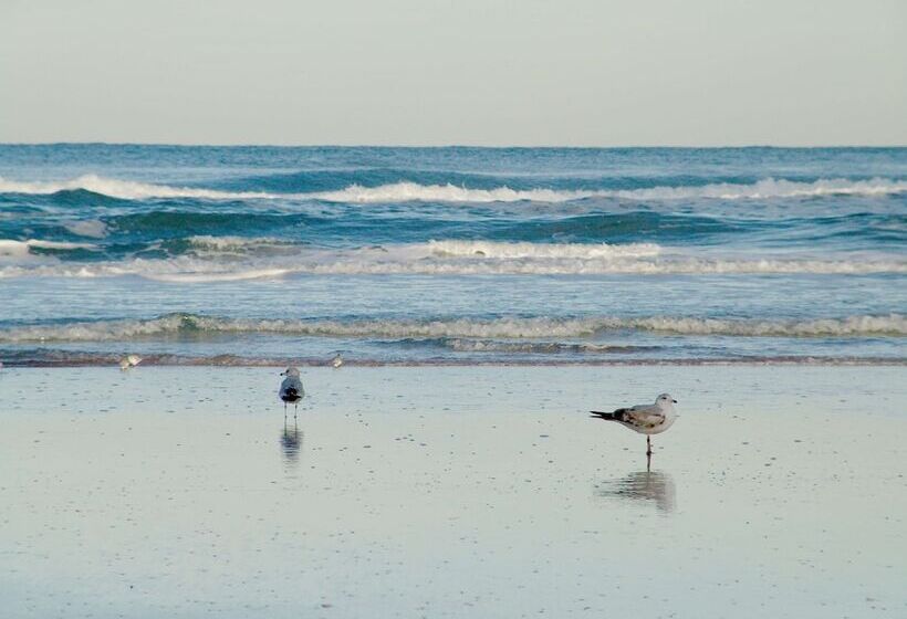 בית מלון כפרי Hampton Inn Daytona Shoresoceanfront